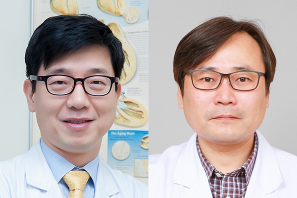 동맥경화와 심근경색 막는 새 표적 물질 발견