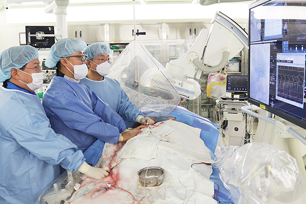 AMC Heart Institute, Korea’s first to achieve 300 TAVI cases in a year