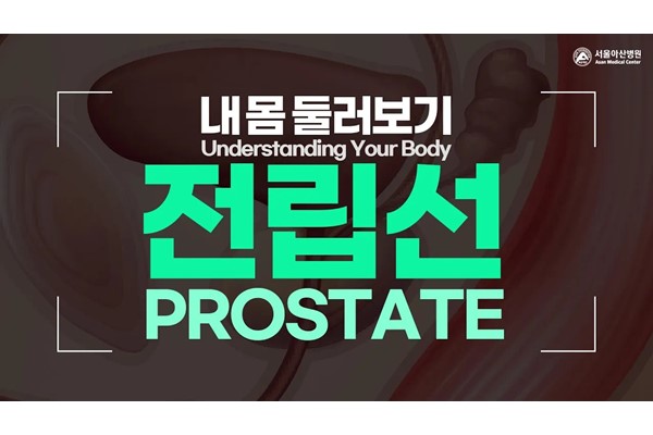 [Understanding Your Body] Prostate