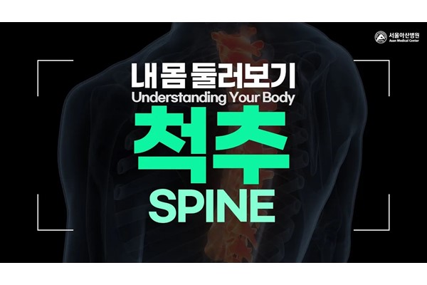 [Understanding Your Body] Spine