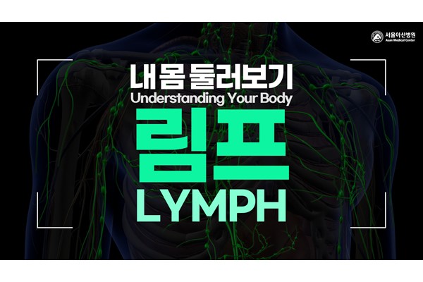 [Understanding Your Body] Lymph | HEALTH | ASAN MEDICAL CENTER NEWSROOM