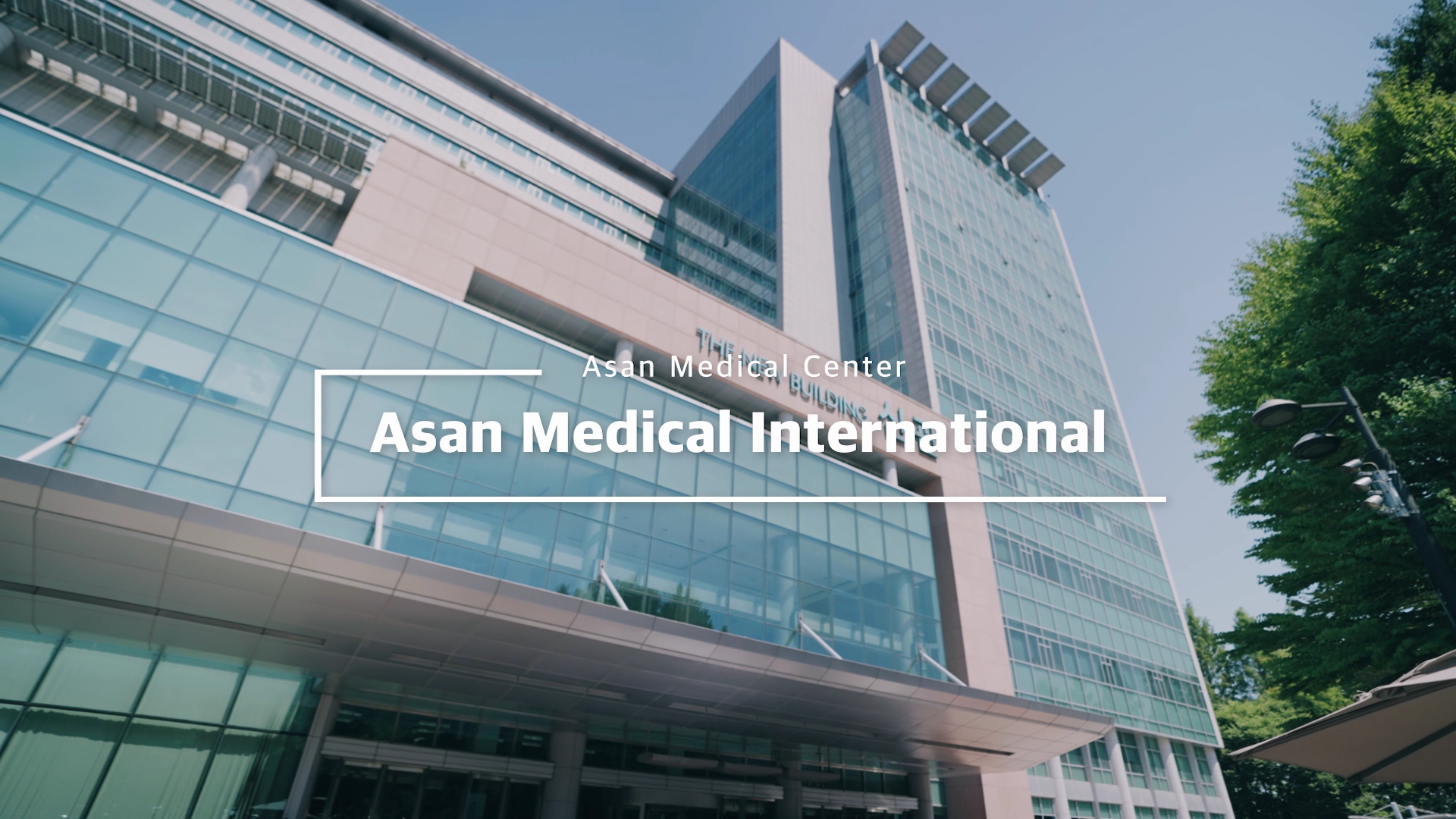 About Asan Medical International