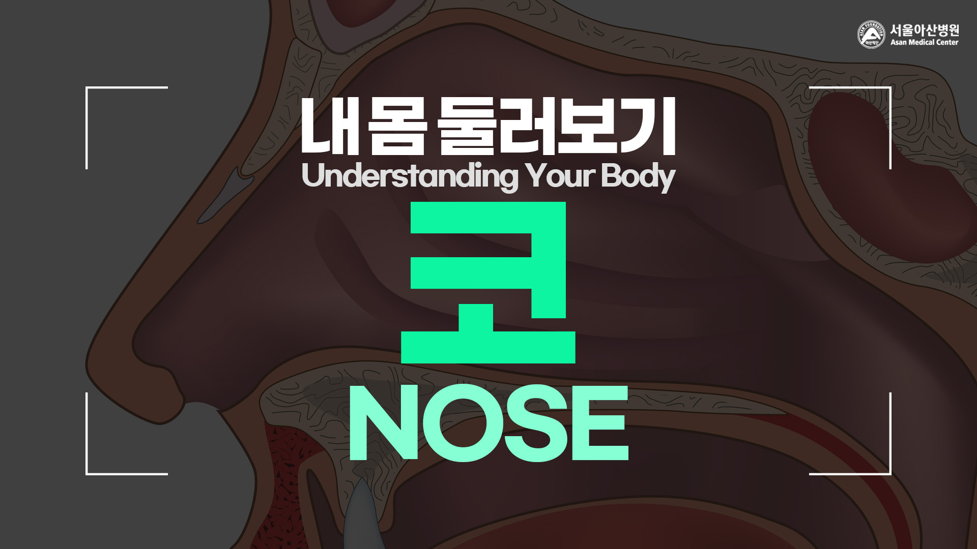 [Understanding Your Body] Nose