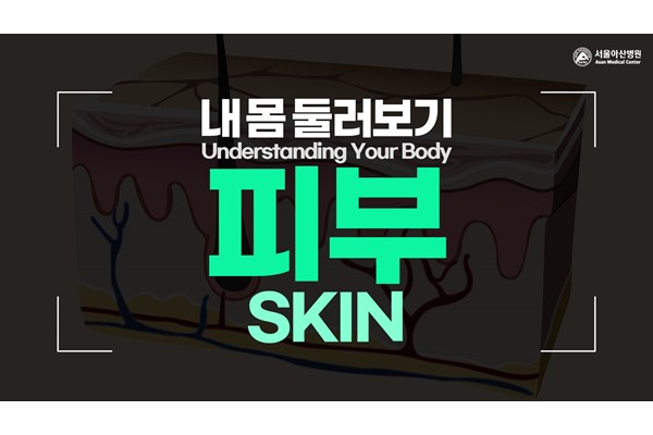 [Understanding Your Body] Skin