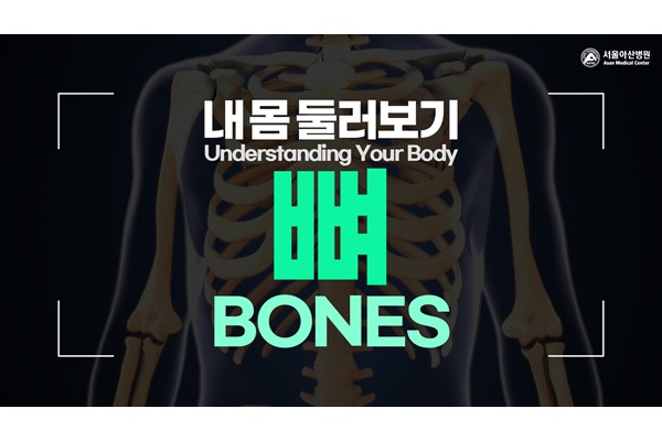 [Understanding Your Body] Bones