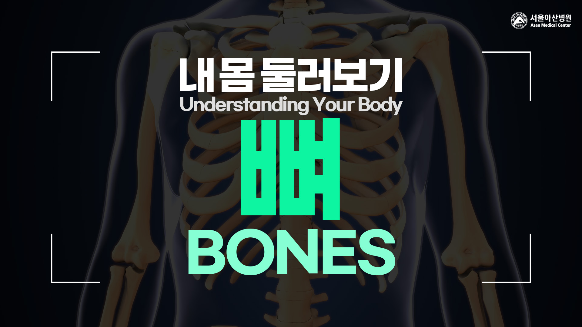 [Understanding Your Body] Bones