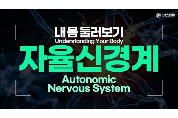 [Understanding Your Body] Autonomic Nervous System