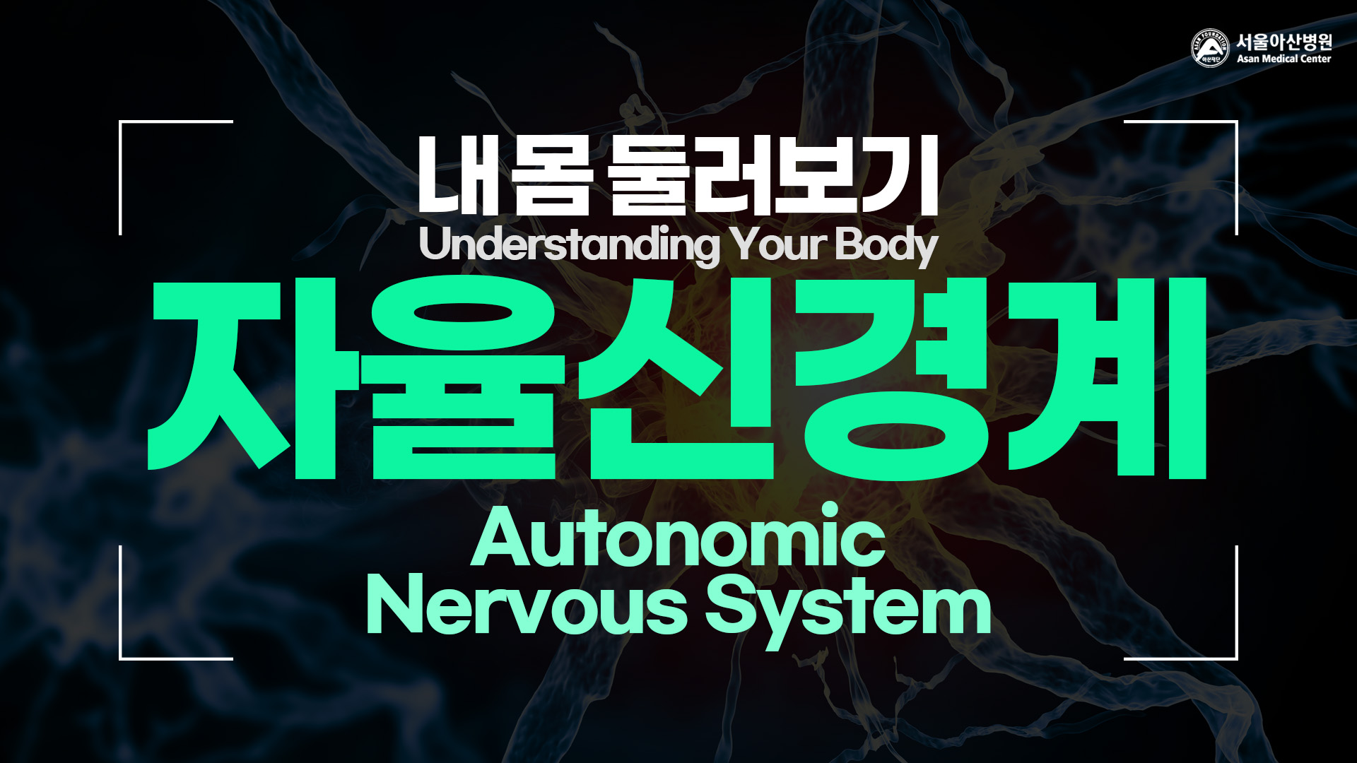 [Understanding Your Body] Autonomic Nervous System