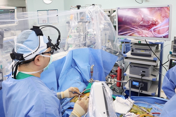 3D Endoscopic Simultaneous Aortic and Mitral Valve Replacement Successfully Performed