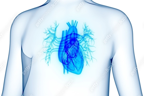 The International Academic Conference on Complex Percutaneous Coronary Intervention (COMPLEX PCI 2025) Held