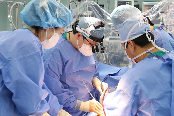 Rheumatic Heart Disease Mitral Valve Repair Proven Safe; Reoperation Rate Under 1%