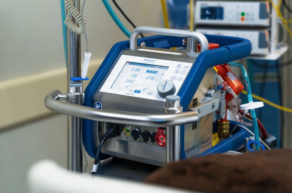 Two Out of Three Critically Ill Patients Dependent on ECMO Regain Independent Heart and Lung Function