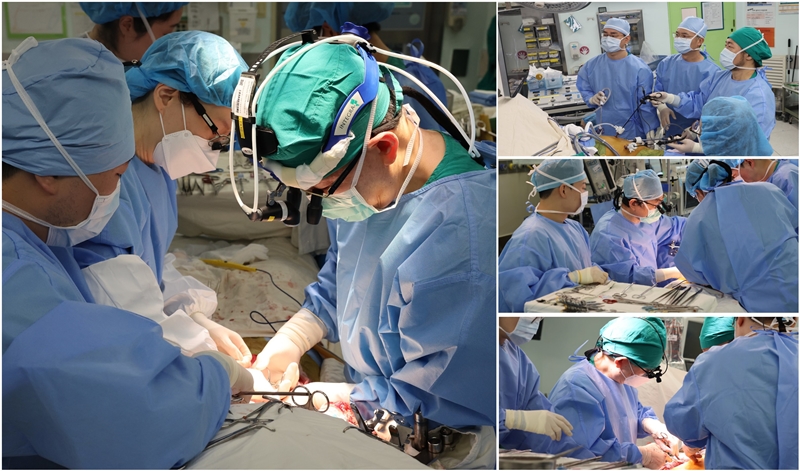 Seoul Asan Medical Center Achieves Milestone with 9,000th Liver Transplant
