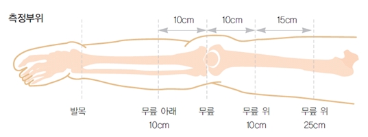 하지부종 측정 부위